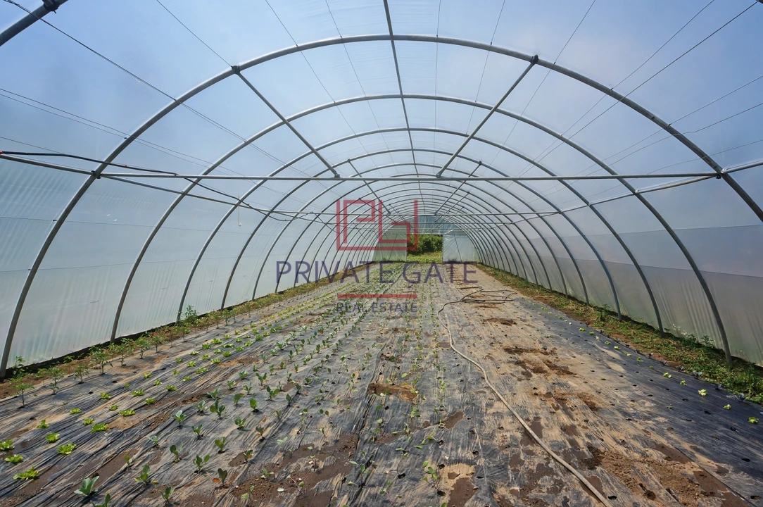 Quinta T0 para Venda em Gemieira Foto 20