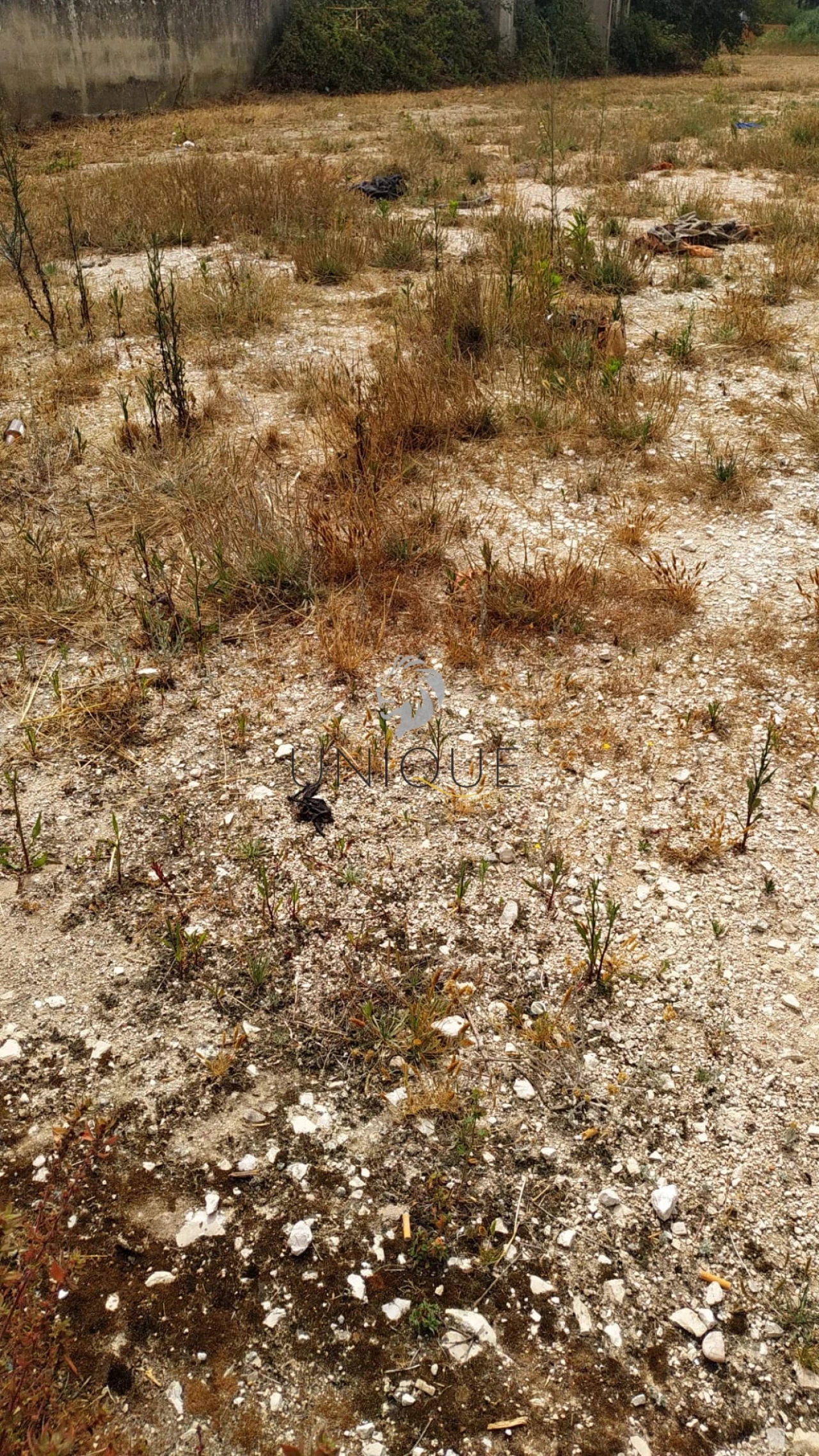 Terreno para Venda em Ílhavo (São Salvador) Foto 1