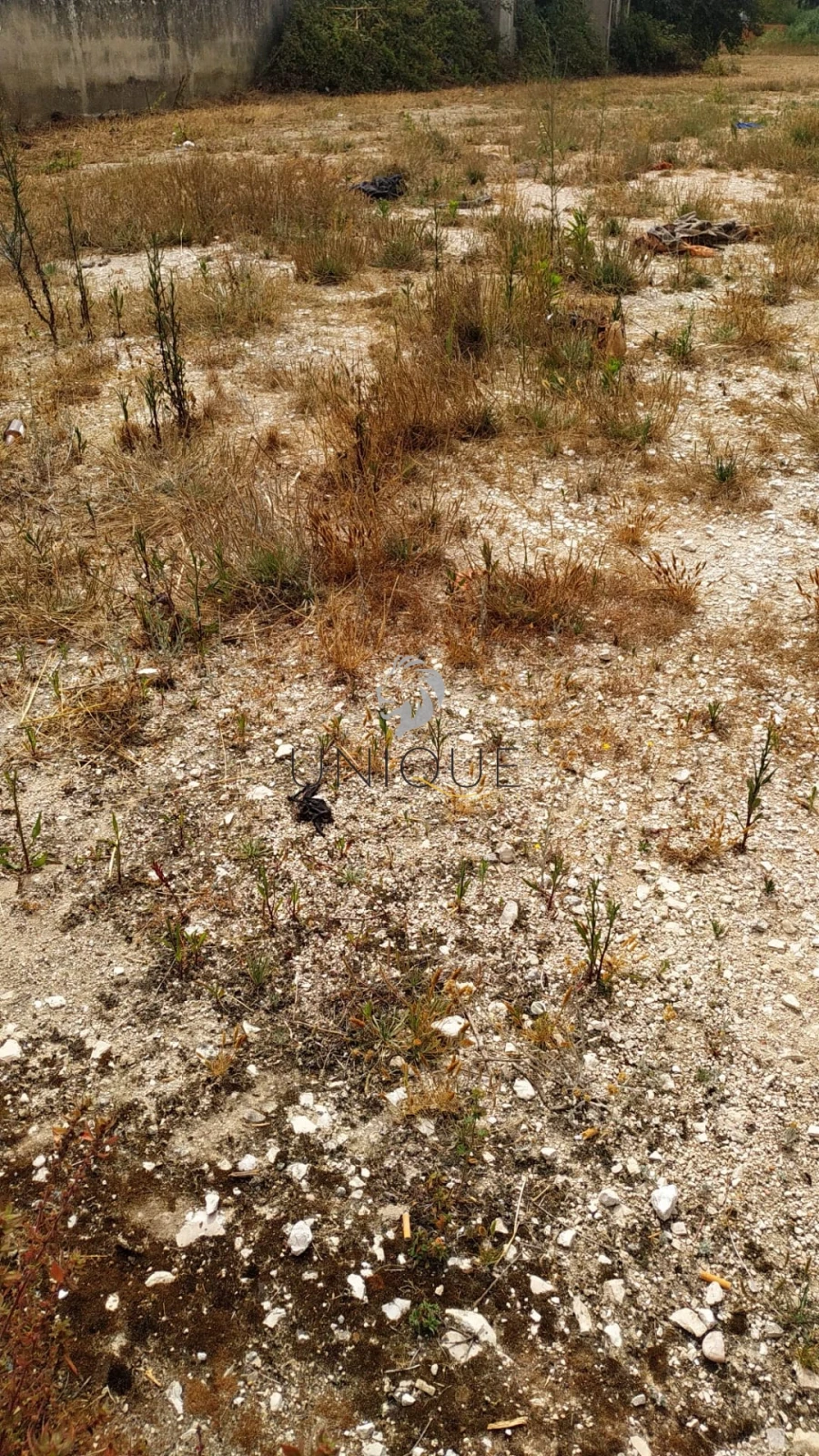 Terreno para Venda em Ílhavo (São Salvador) Foto 1