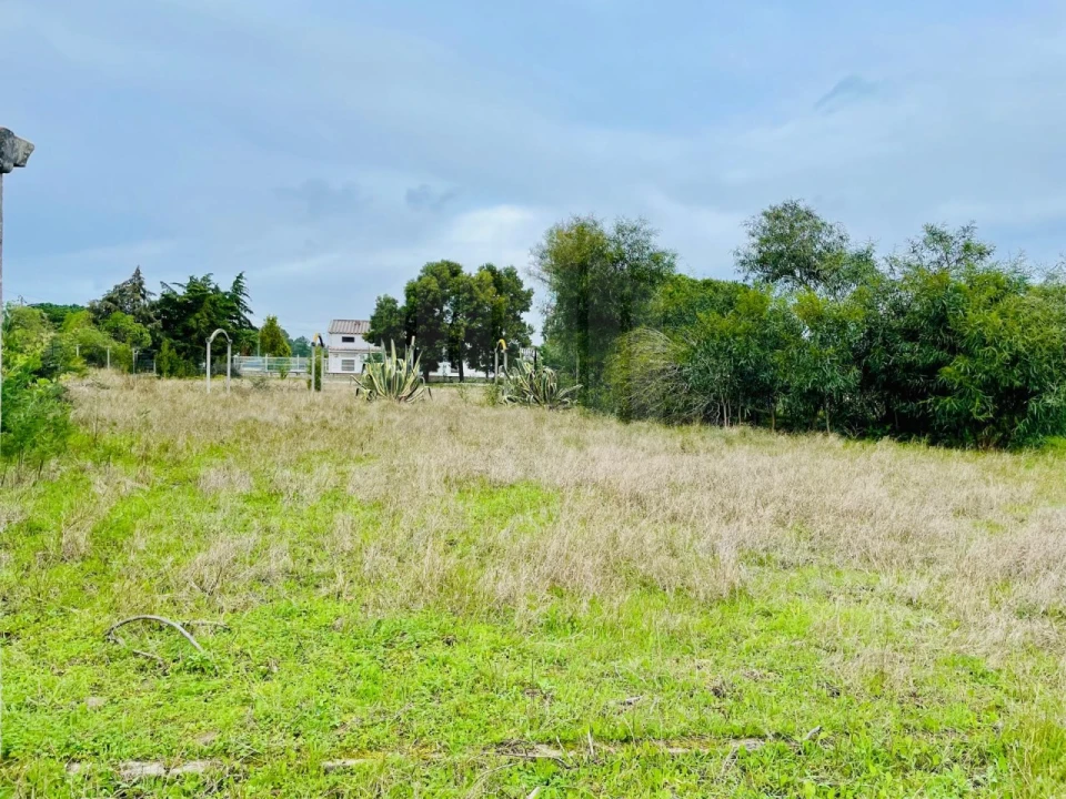 Terreno para Venda em Fernao Ferro Foto 1