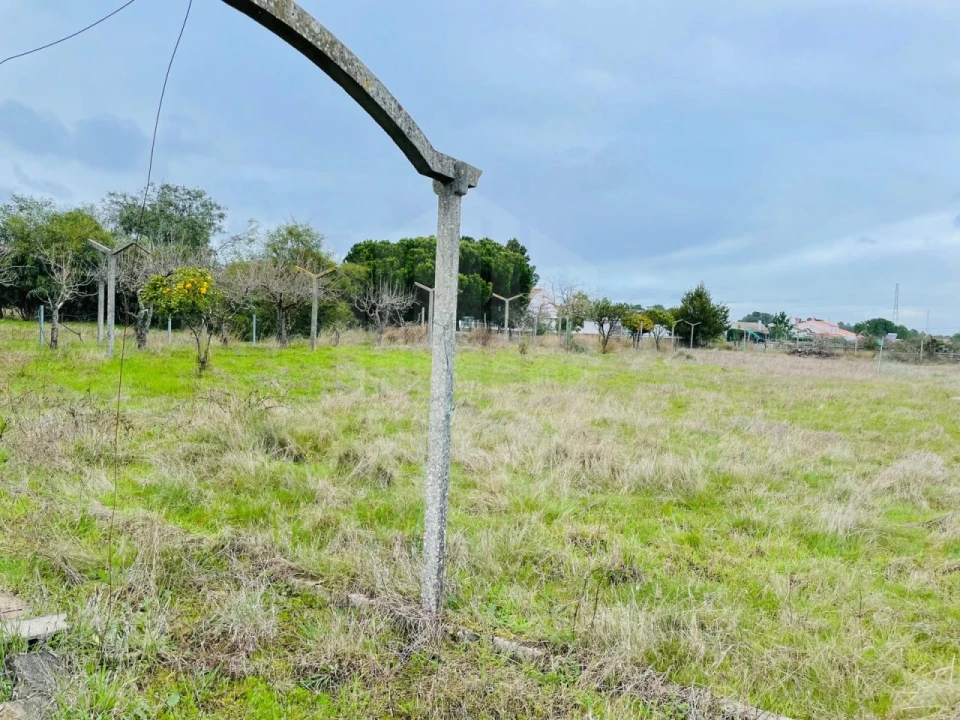 Terreno para Venda em Fernao Ferro Foto 4