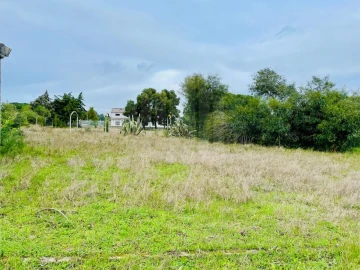 Terreno para Venda em Fernao Ferro