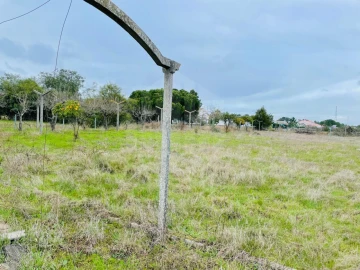 Terreno para Venda em Fernao Ferro