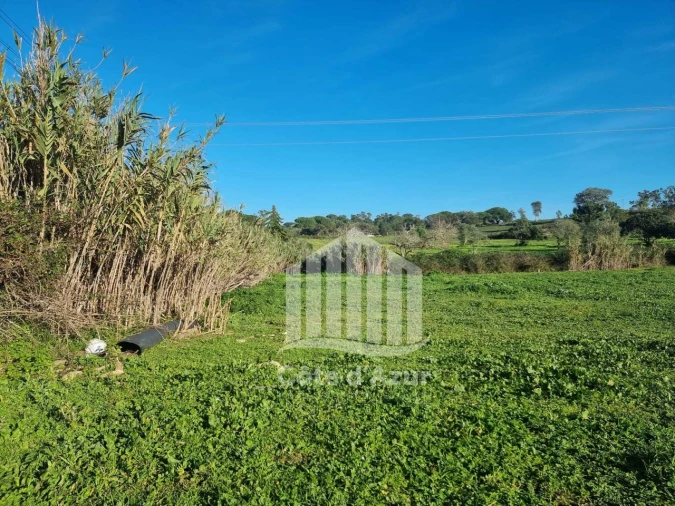 Armazém para Venda em Sesimbra (Castelo) Foto 6