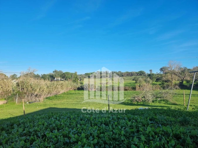 Armazém para Venda em Sesimbra (Castelo) Foto 7