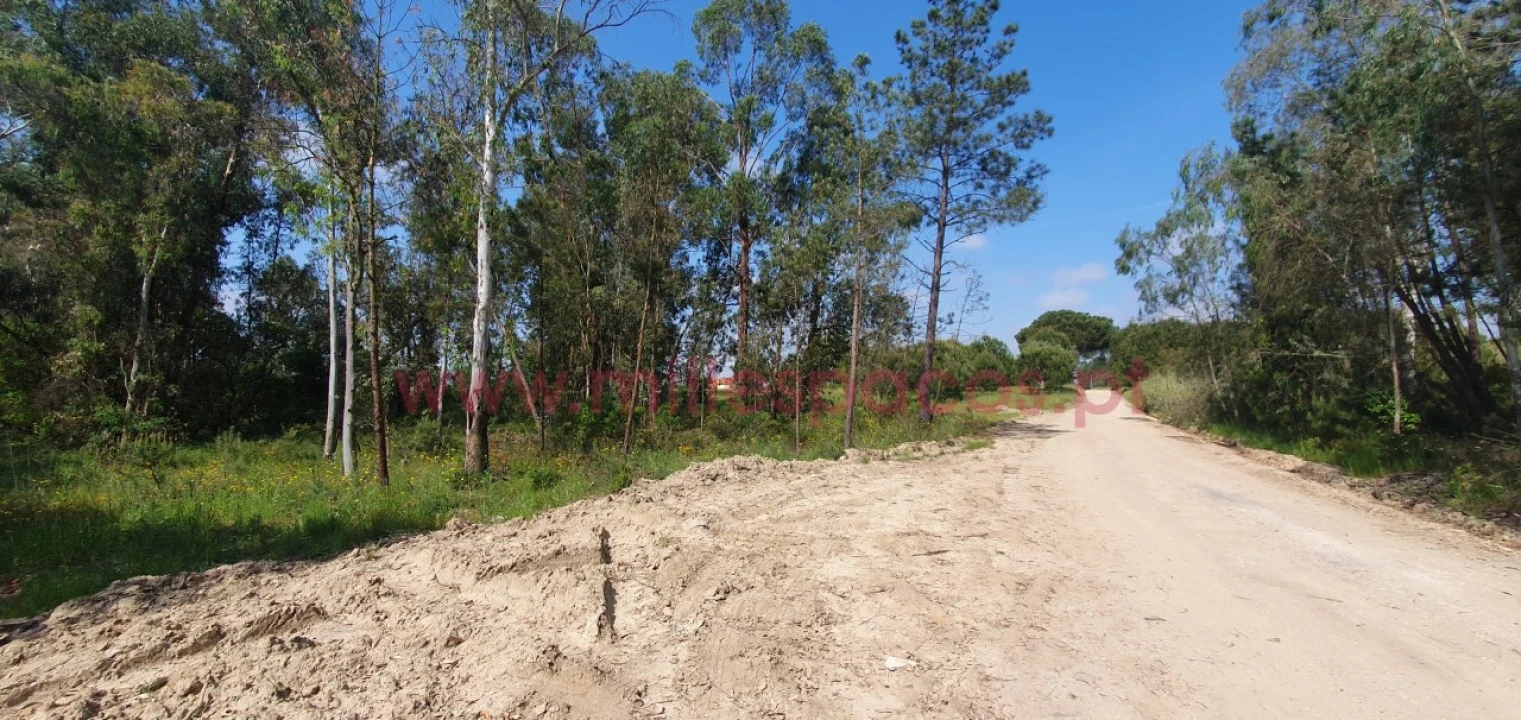 Terreno Agricola ou Rústico para Venda em Pegões Foto 6