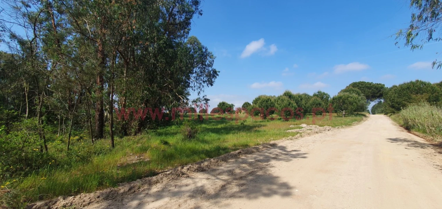 Terreno Agricola ou Rústico para Venda em Pegões Foto 10