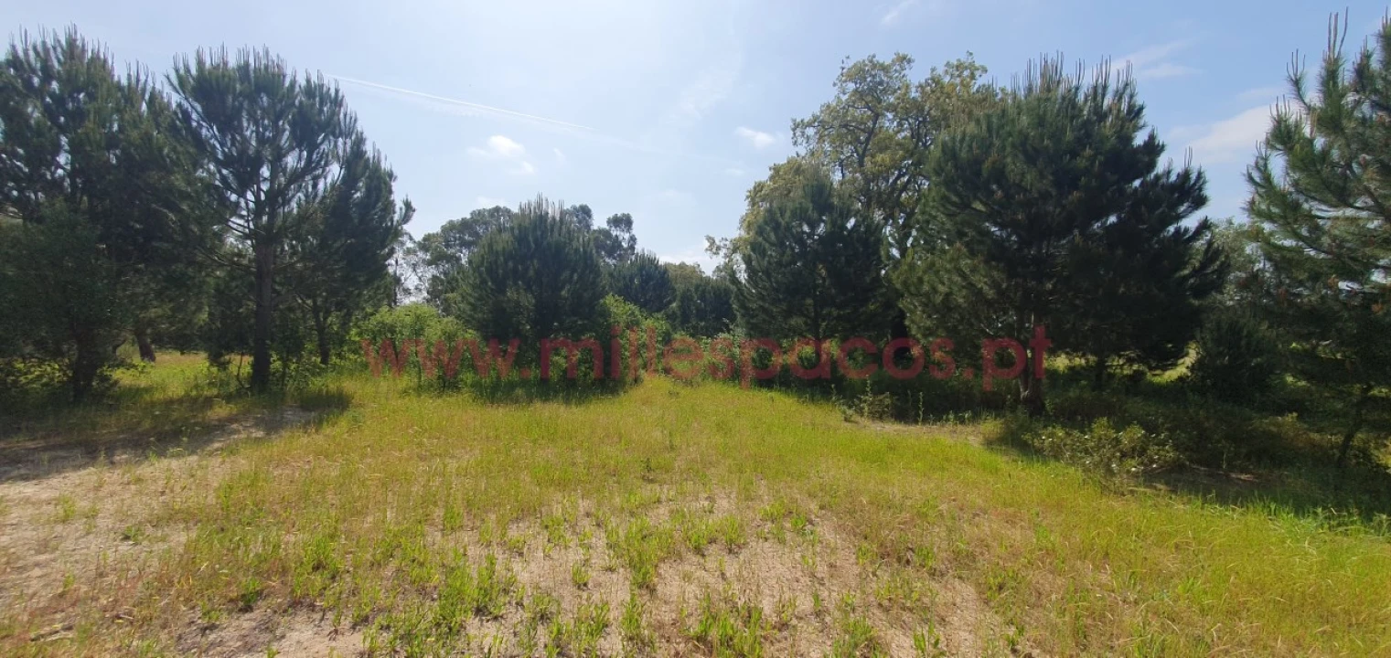 Terreno Agricola ou Rústico para Venda em Pegões Foto 20