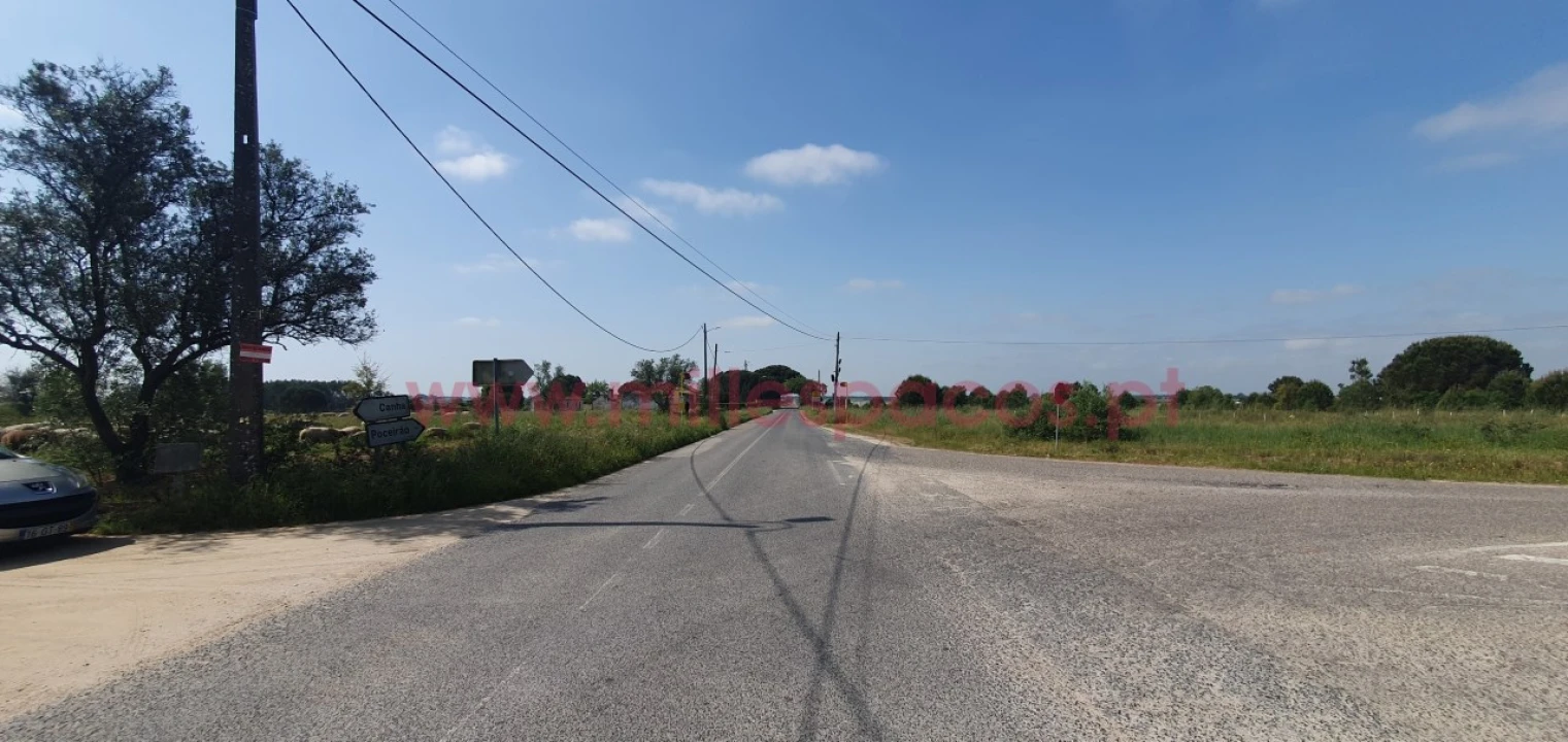 Terreno Agricola ou Rústico para Venda em Pegões Foto 23
