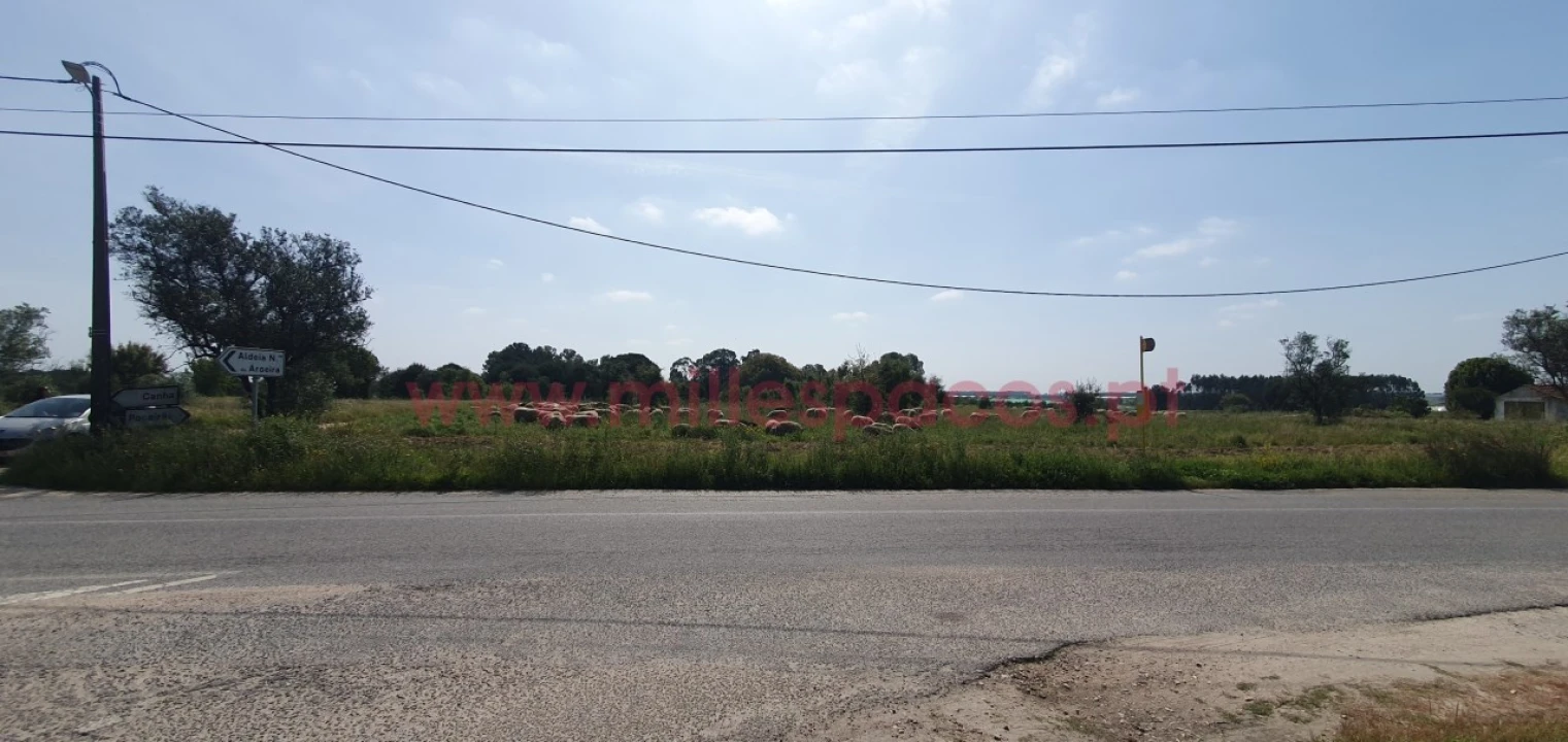 Terreno Agricola ou Rústico para Venda em Pegões Foto 29