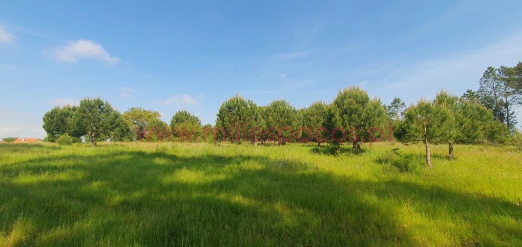 Terreno Agricola ou Rústico para Venda em Pegões