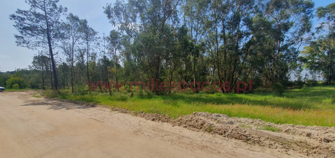 Terreno Agricola ou Rústico para Venda em Pegões Foto 12