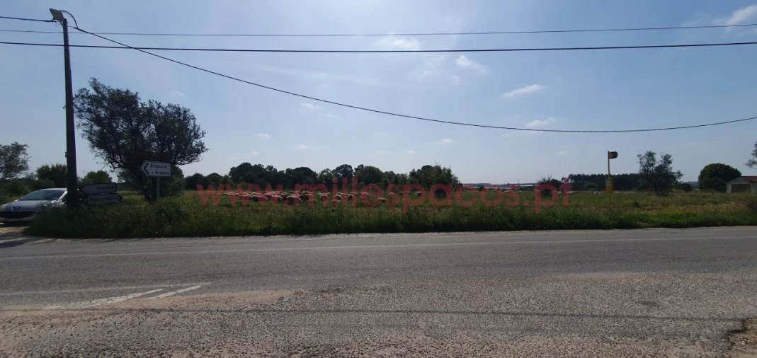Terreno Agricola ou Rústico para Venda em Pegões Foto 21