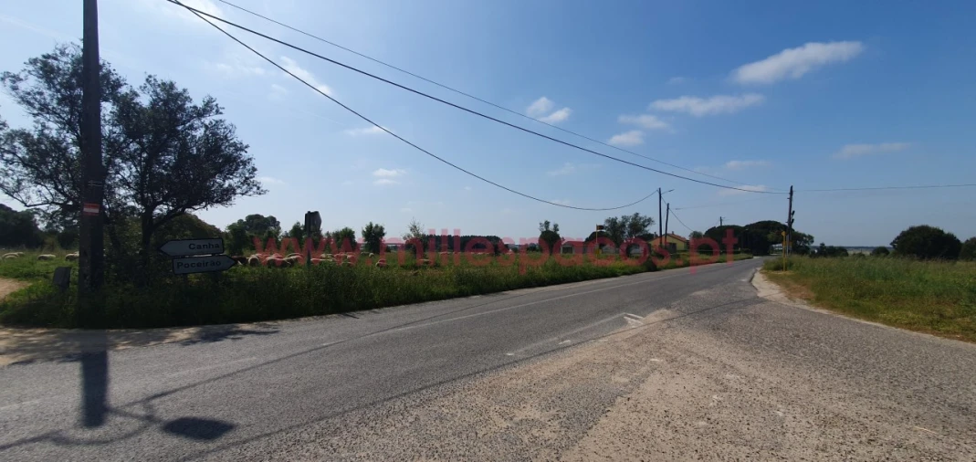 Terreno Agricola ou Rústico para Venda em Pegões Foto 22