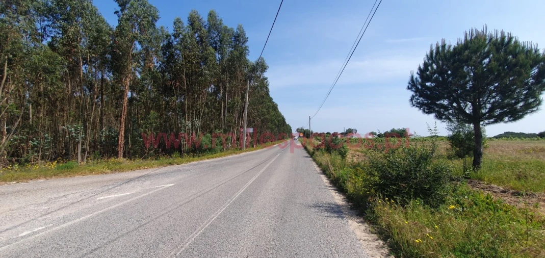 Terreno Agricola ou Rústico para Venda em Pegões Foto 25