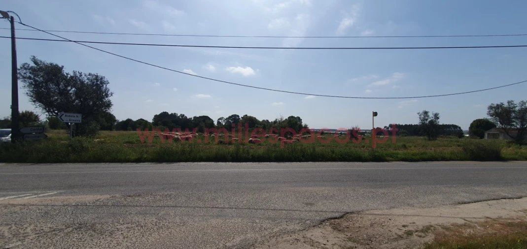 Terreno Agricola ou Rústico para Venda em Pegões Foto 27