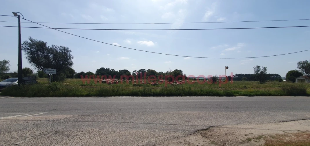 Terreno Agricola ou Rústico para Venda em Pegões Foto 29