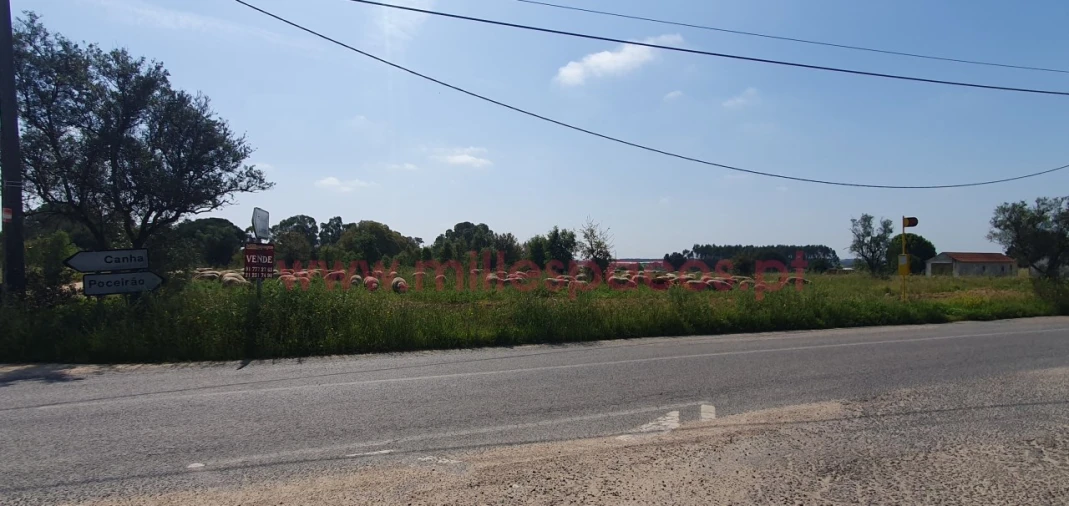 Terreno Agricola ou Rústico para Venda em Pegões Foto 30