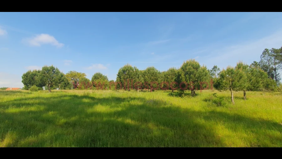 Terreno Agricola ou Rústico para Venda em Pegões