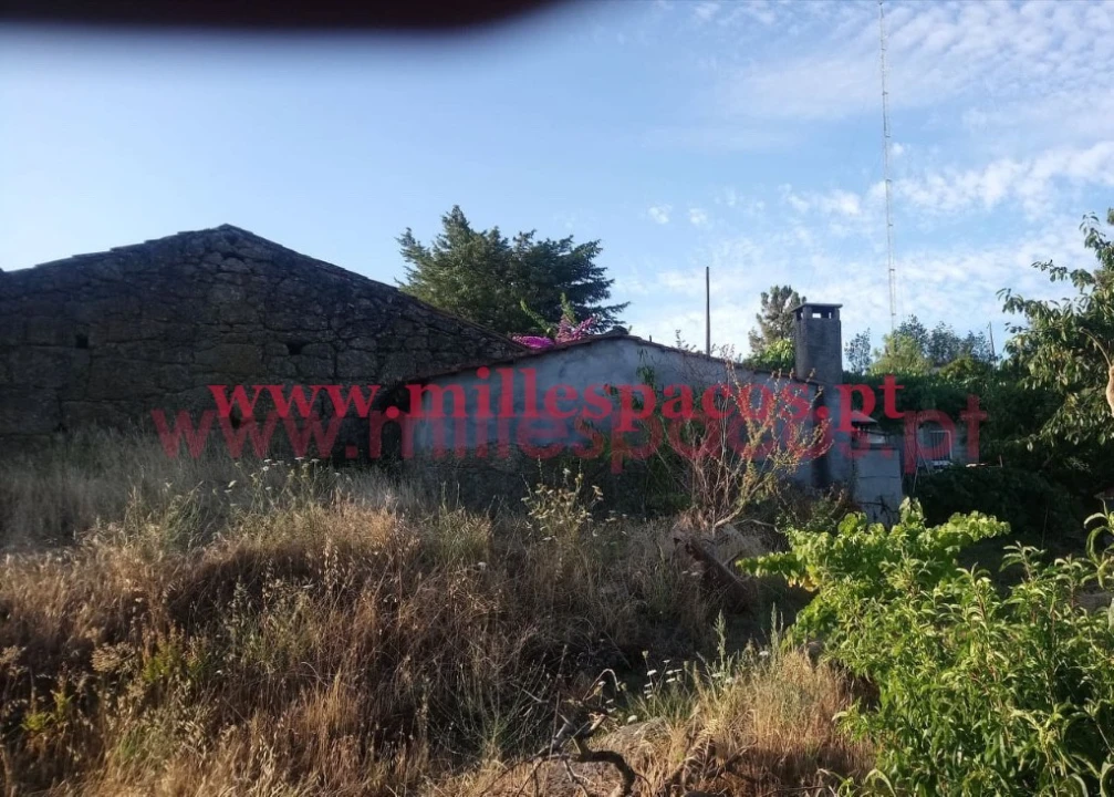 Terreno para Venda em Ferro Foto 1