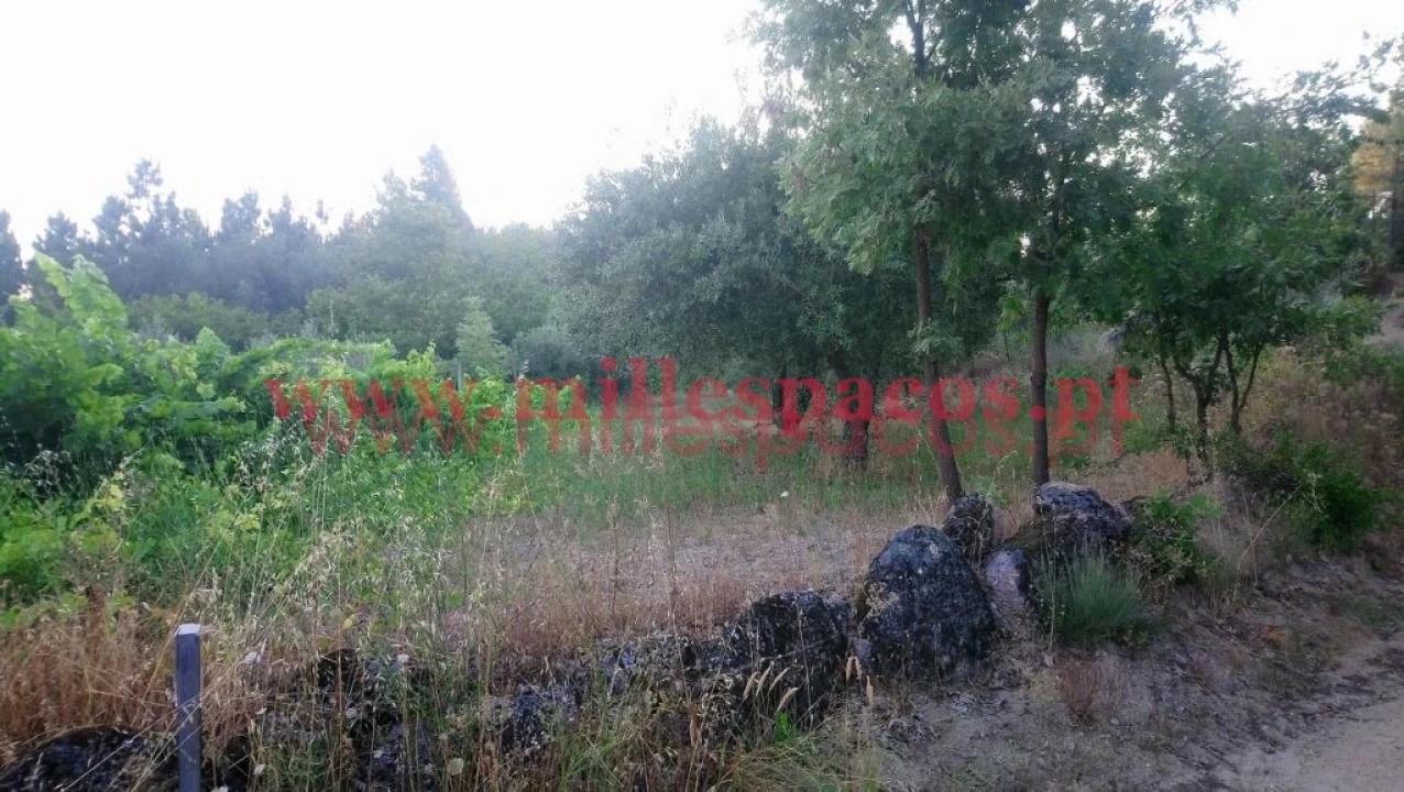 Terreno para Venda em Ferro Foto 10