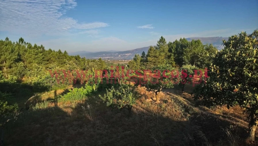 Terreno para Venda em Ferro Foto 12