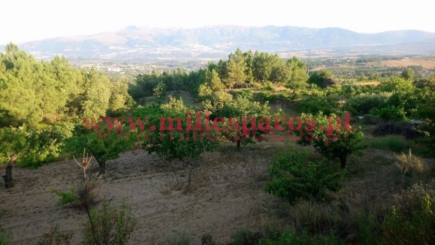 Terreno para Venda em Ferro Foto 13