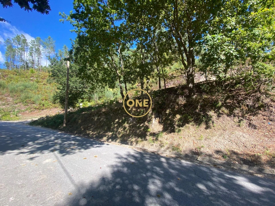 Terreno para Venda em Valdosende Foto 6