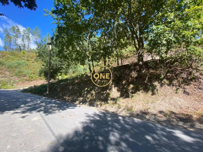 Terreno para Venda em Valdosende Foto 6