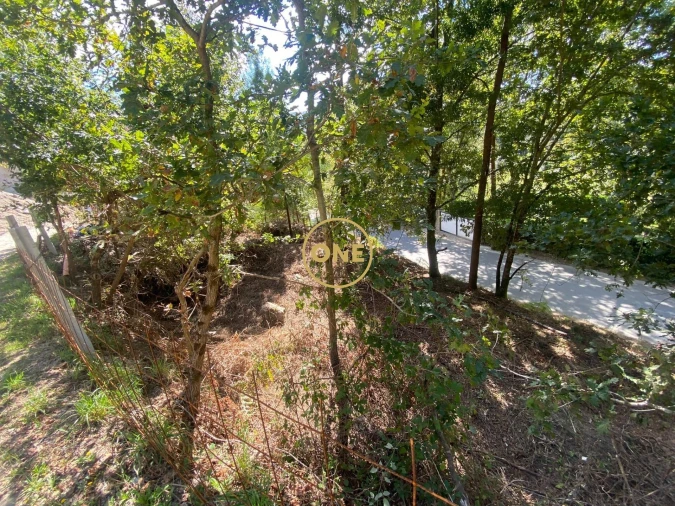 Terreno para Venda em Valdosende Foto 9