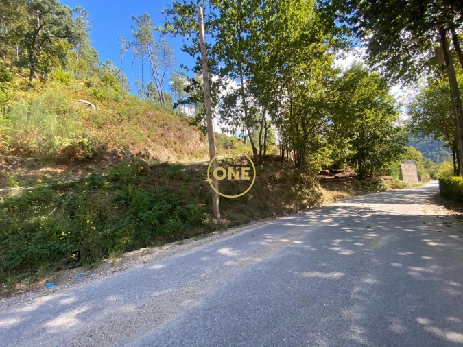 Terreno para Venda em Valdosende Foto 7