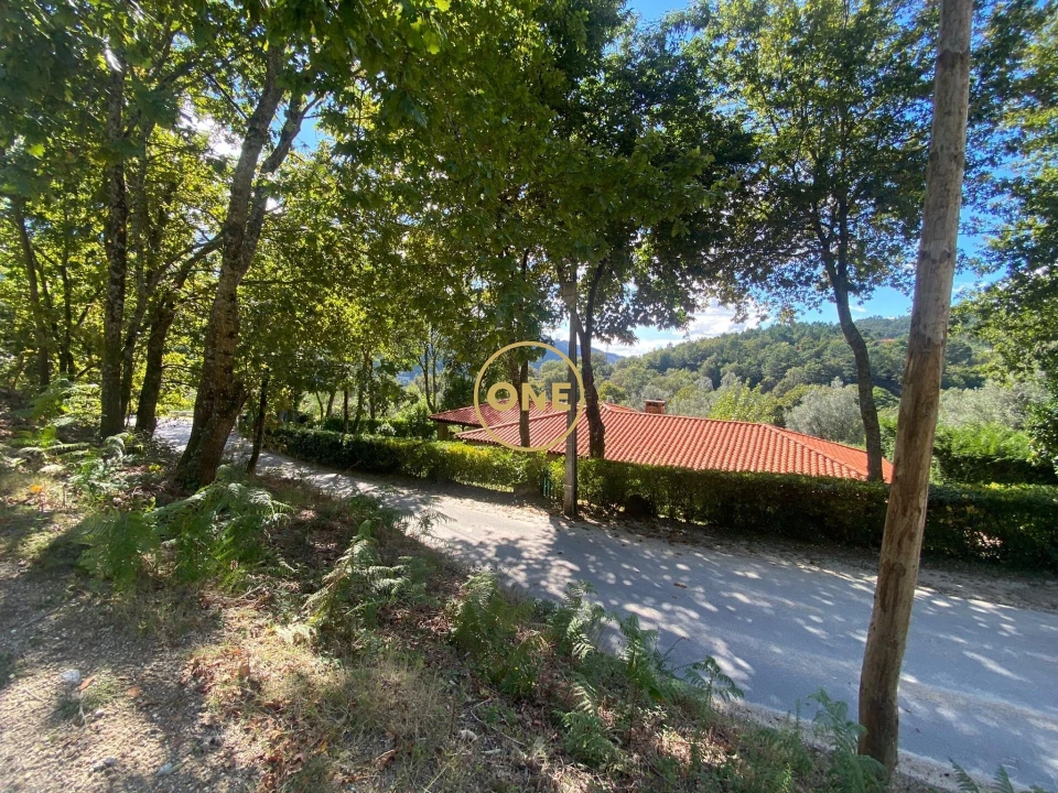 Terreno para Venda em Valdosende Foto 8