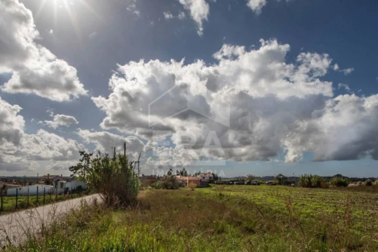 Moradia T4 para Venda em Glória e Vera Cruz Foto 17
