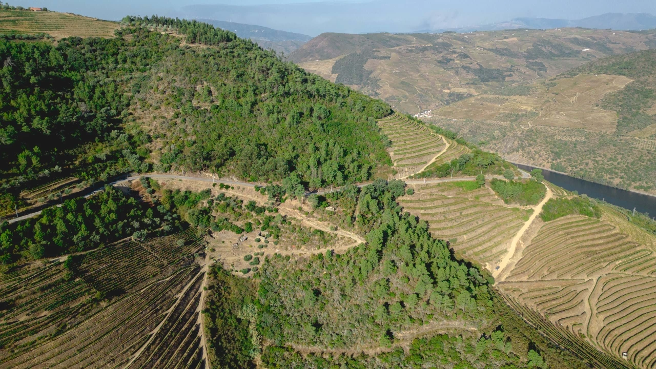 Terreno para Venda em Vila Seca e Santo Adrião Foto 3