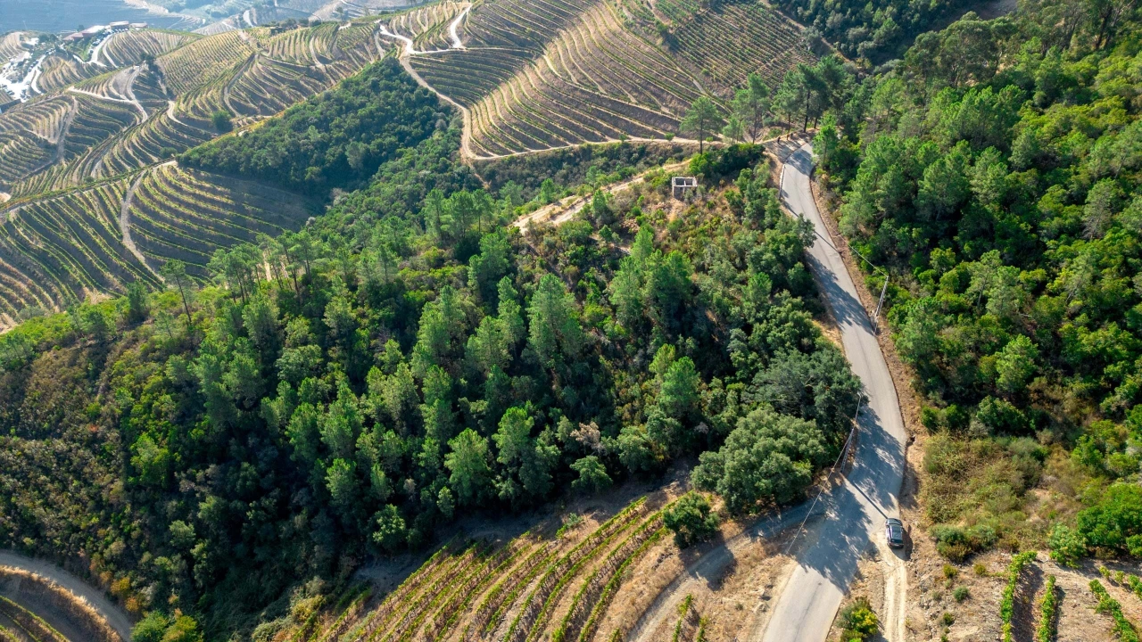 Terreno para Venda em Vila Seca e Santo Adrião Foto 6