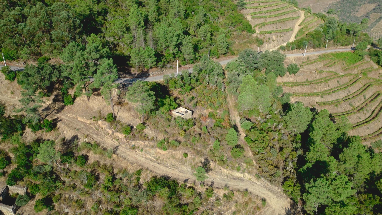 Terreno para Venda em Vila Seca e Santo Adrião Foto 11
