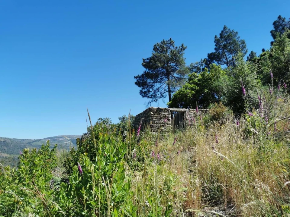 Terreno para Venda em Vila Seca e Santo Adrião Foto 15
