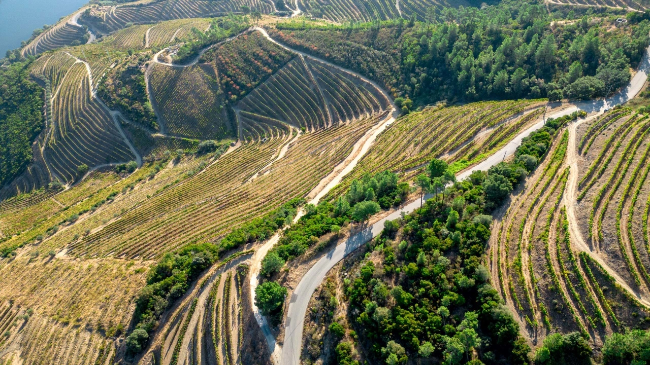 Terreno para Venda em Vila Seca e Santo Adrião Foto 2