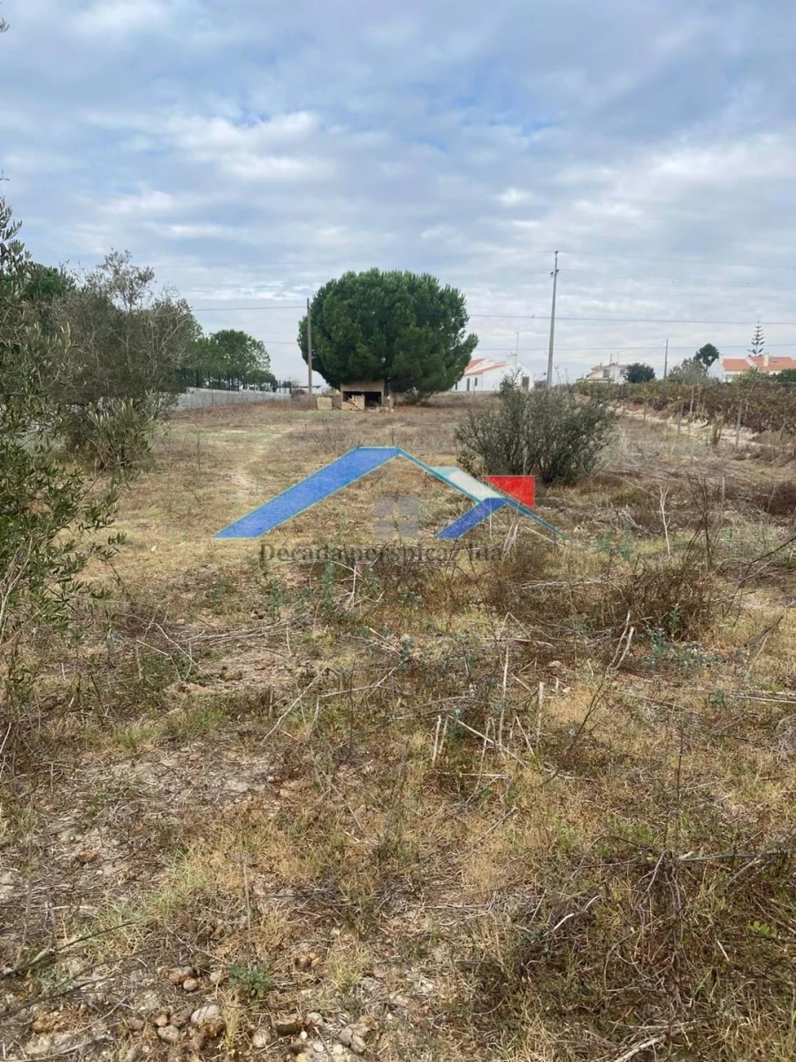 Moradia T1 para Venda em Coruche, Fajarda e Erra Foto 5