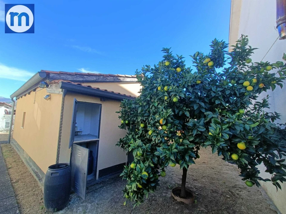 Moradia T6 para Venda em Amarante (São Gonçalo), Madalena, Cepelos e Gatão Foto 21