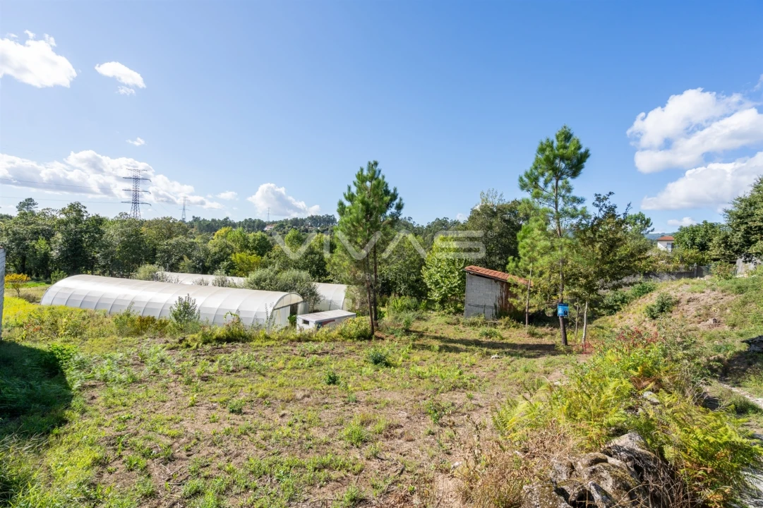 Terreno para Venda em Fiscal Foto 17