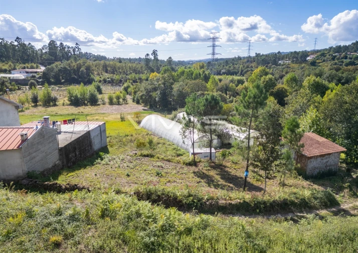 Terreno para Venda em Fiscal Foto 14