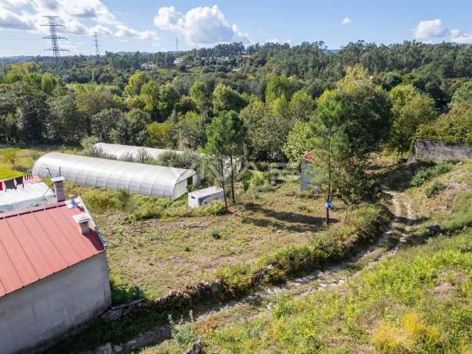 Terreno para Venda em Fiscal Foto 13