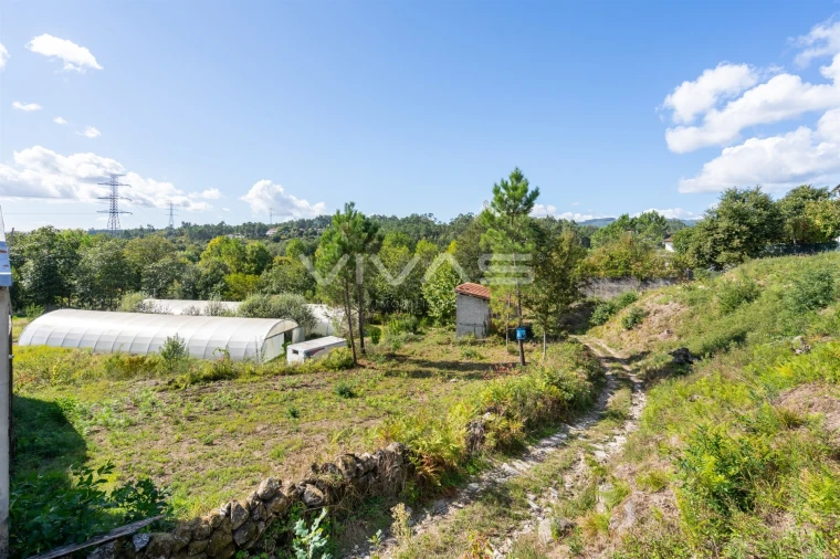 Terreno para Venda em Fiscal Foto 18