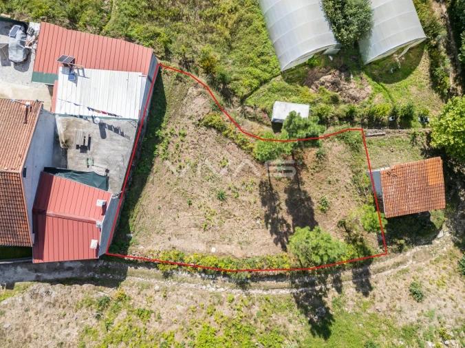 Terreno para Venda em Fiscal Foto 1