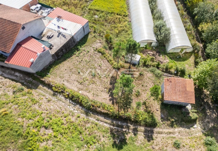 Terreno para Venda em Fiscal Foto 7