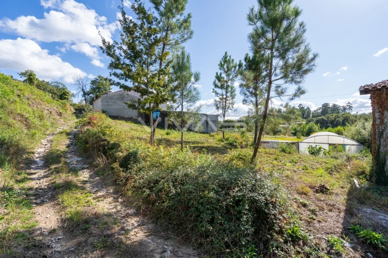 Terreno para Venda em Fiscal Foto 19