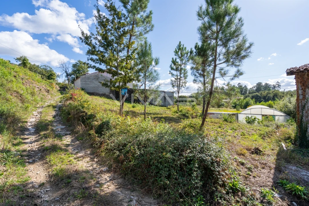 Terreno para Venda em Fiscal Foto 19