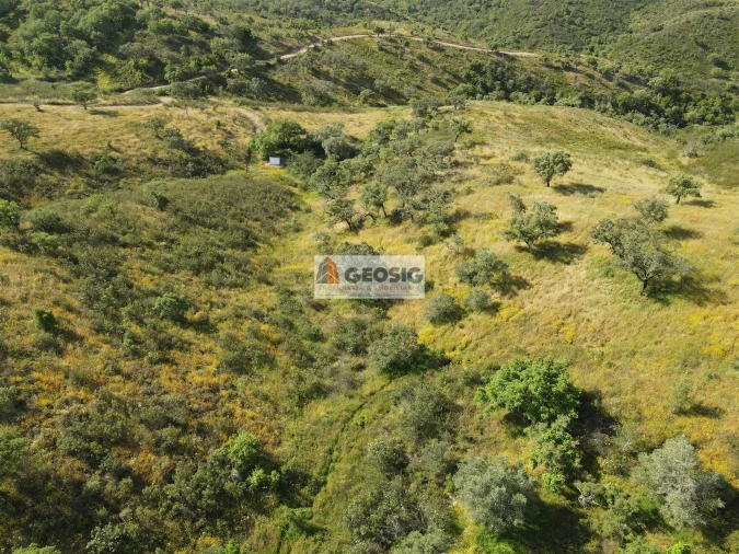 Quinta T2 para Venda em São Barnabe Foto 5