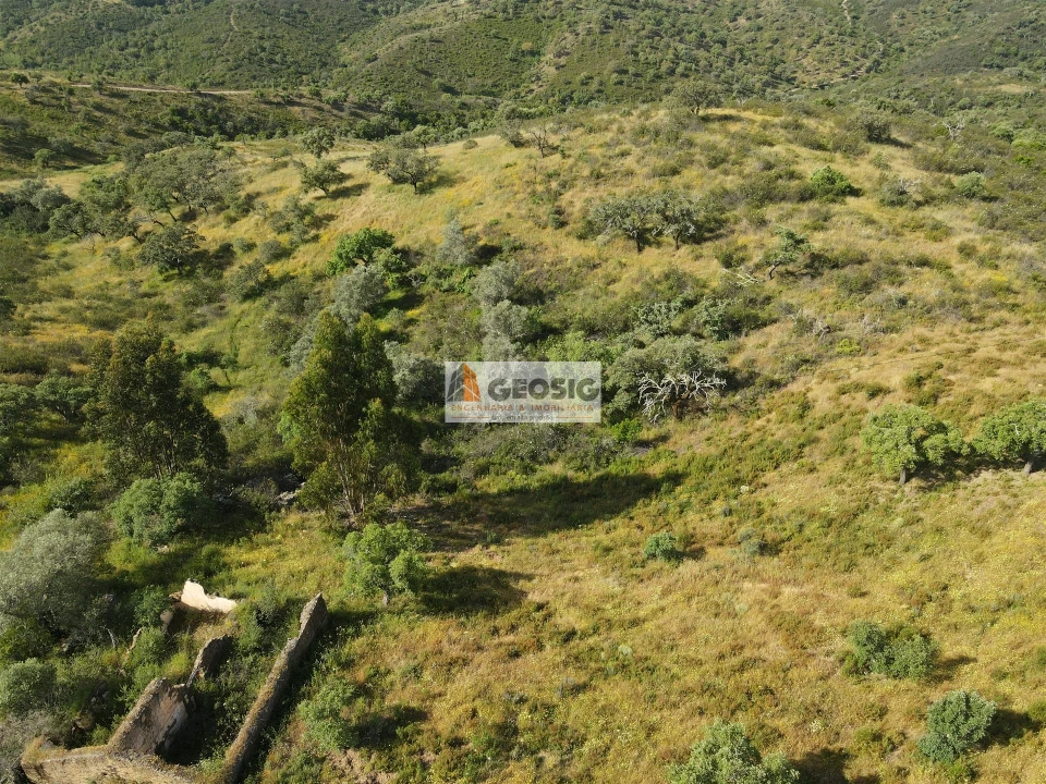 Quinta T2 para Venda em São Barnabe Foto 4